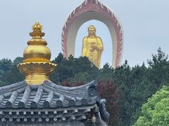 -庐山风景名胜区-东林大佛