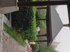 -咸宁万豪温泉谷度假区