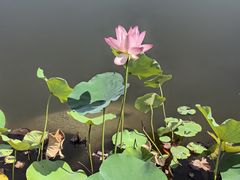-木塔寺遗址生态公园
