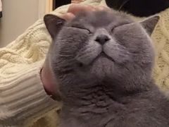 -闪电修企业手机电脑回收(西湖风景名胜区店)