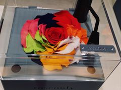 -ROSEONLY诺誓(沈阳万象城店)