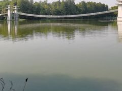 -东湖落雁景区