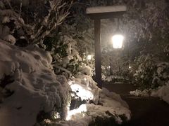 -天目湖涵田半山温泉