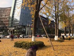 -百林公园-两江幸福广场