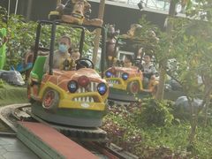 -南宫五洲植物乐园