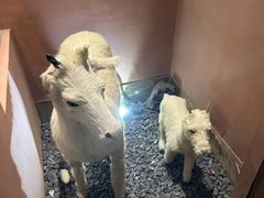 -桃园农庄烤全羊(江秋路店)