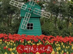 -南宫五洲植物乐园