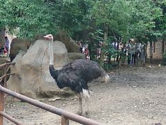 -南昌动物园