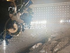 -碧桂园空港凤凰酒店(广州新白云机场店)