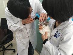 -菲尔斯特宠物医院