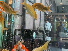 -浩运海鲜·16年专注青岛菜(石老人店)