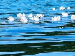 -丽江泸沽湖景区