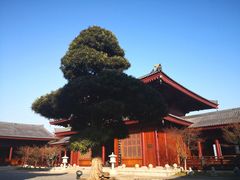 -牛首山文化旅游区