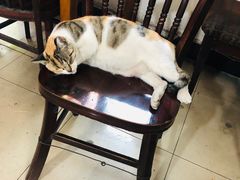 -安庆柴火馄饨(马道街店)