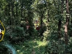 -WeLope紫金山探险公园