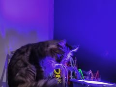 -极木²邸 人与宠物·互动社区