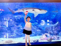 -烟台海昌鲸鲨海洋公园