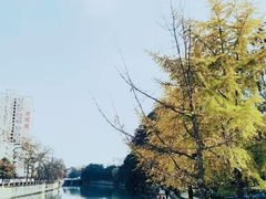 -成都市活水公园
