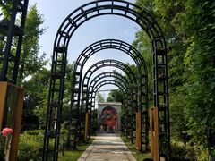 -金山农民画村-枫泾波兰倒置屋