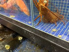 -明记海鲜大排档(巽寮湾店)