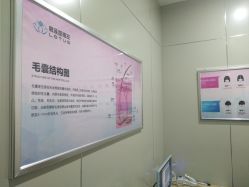 -碧莲盛·不剃发植发