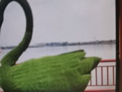-鹅湖玫瑰文化园