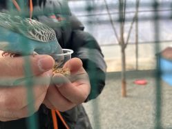 -萌宠亲子动物乐园(槐房万达店)