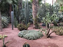 -马洛雷勒花园