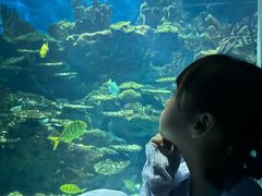 -海合安武汉极地海洋公园