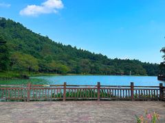 -广州白江湖森林公园