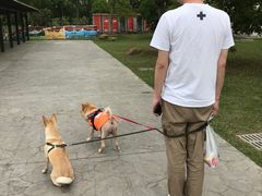 -上海长兴岛郊野公园