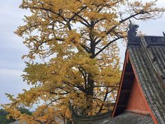 -金堂县云顶石城风景区