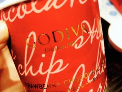 -Canada Goose加拿大鹅(沈阳万象城店)