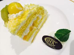 -COVA(上海K11艺术中心店)