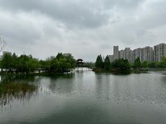 -洋湖国家湿地公园