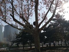 -唐山抗震纪念碑广场