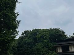 -杭州植物园
