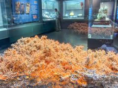 -湖南省地质博物馆