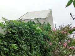 -逗号立方