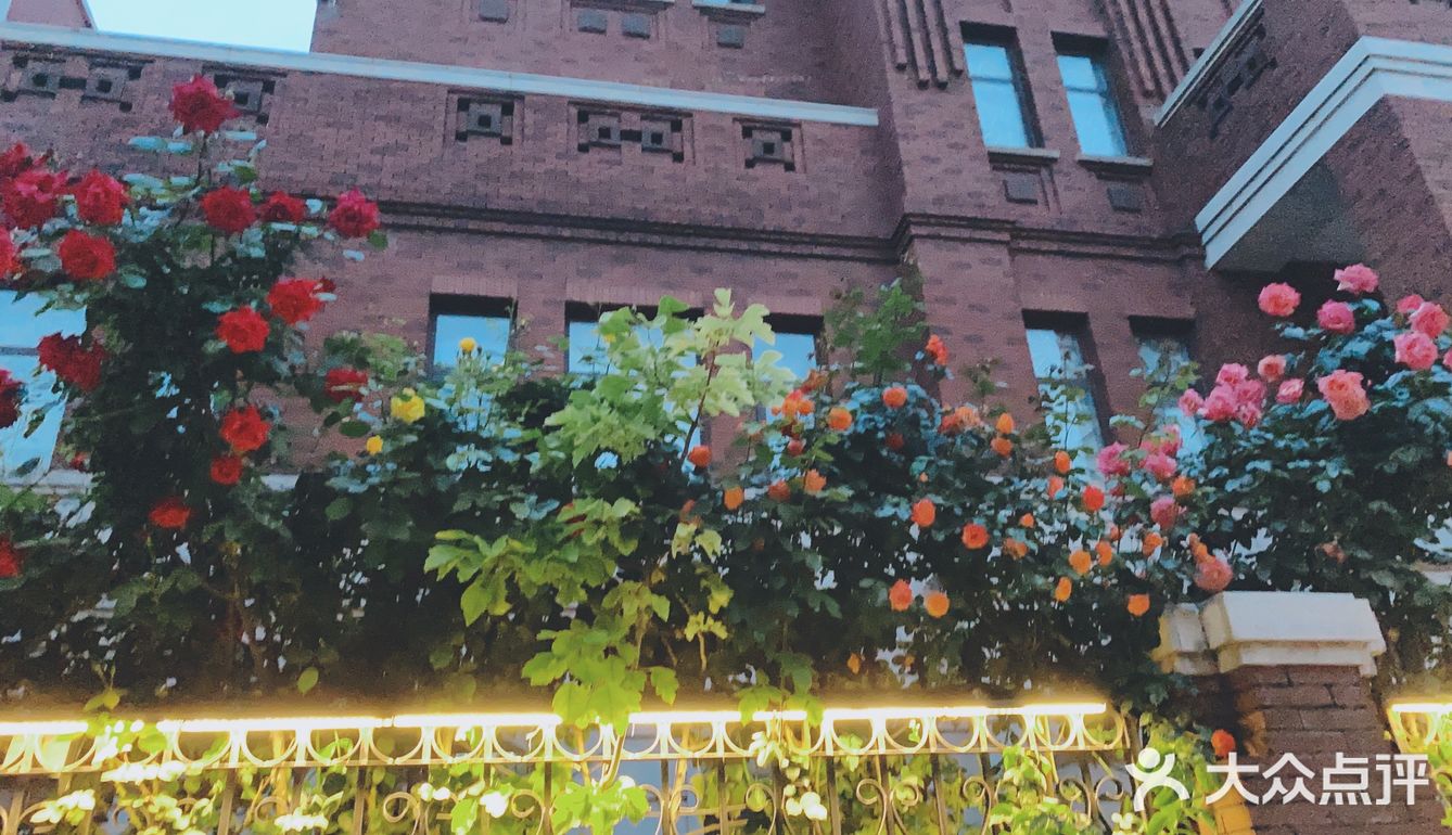 花都开好了，就等你来