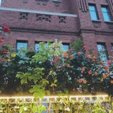 花都开好了，就等你来