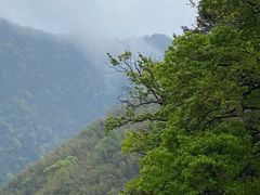 -藏龙百瀑风景区