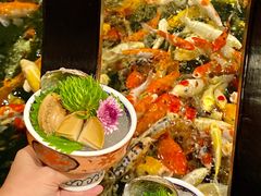 -龙悦湾酒家·八阵鱼生·渔人码头店