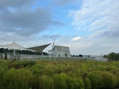 -天津东丽湖风景区