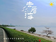 -深圳湾公园(南山区)