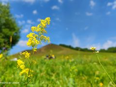 -塞罕坝国家级自然保护区