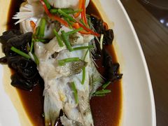 -十碗头(诚信路店)