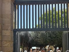 -上巴拉卡花园和下巴拉卡花园