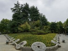 -宜兴龙背山森林公园