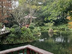 -广州兰圃
